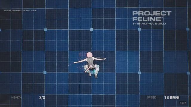 Messing around in project feline смотреть онлайн