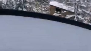 Тайга Варяг 550 и Тайга Варяг 550 v в деле