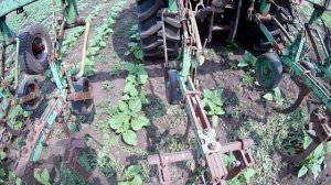 Обзор культиватора КРН-5.6