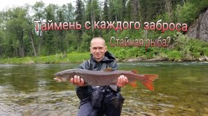 Бешеный клёв тайменя. Неудавшийся поход