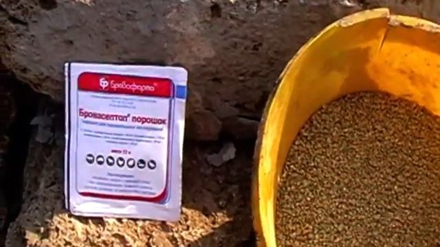 Индоутята болеют. Что делать, препарат! смотреть онлайн