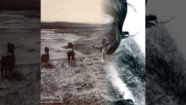 El Exterminio De Julius Popper смотреть онлайн