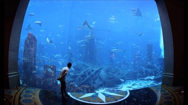 САМЫЕ БОЛЬШИЕ ОКЕАНАРИУМЫ ТОП 5 смотреть онлайн