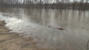 Ока  весенний разлив  2023  СОСНОВКА. Коломенский  гор окр.