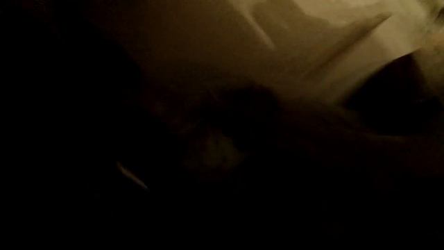 ПОДАРИЛИ ЩЕНКА !АНГЛИЙИСКИЙ КОКЕР СПАНИЕЛЬ!