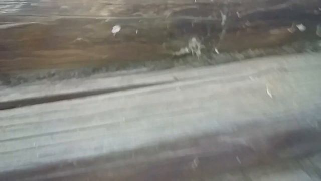 Мухи осенью как лучший тепловизор по нахождению теплопотерь в деревенском доме постройки времен ССС смотреть онлайн