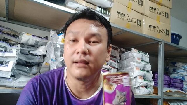 Whiskas Pouch, Makanan Kucing / Wet Food Paling Laris