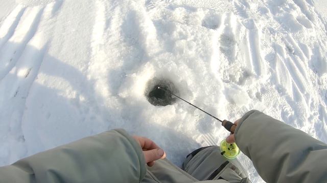 Мормышка подсказала, где искать щуку ! смотреть онлайн