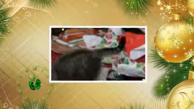 Любимые питомцы встречают Новый год смотреть онлайн