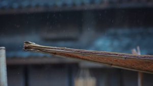 Фейерверк вкусов 1 сезон 8 серия