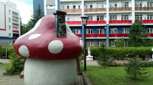 Отдых на берегу Волги в санатории Станко Ивановская область. Обзор территории