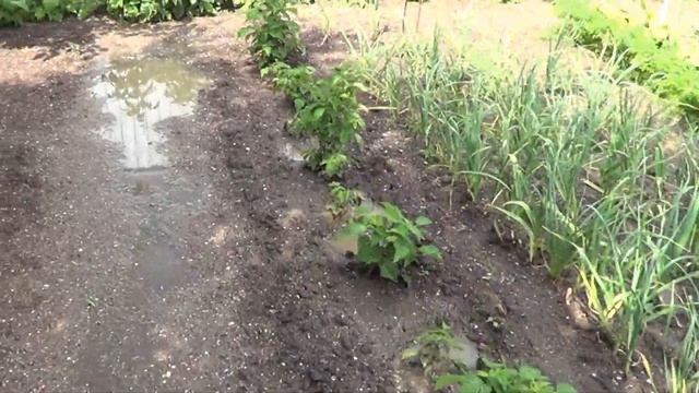 Ейск - Рыбалка на Ейском лимане 29 мая 21 года. смотреть онлайн