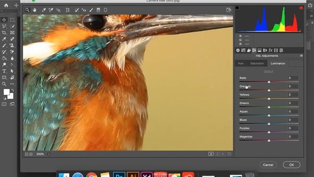 Camera Raw imkoniyatlari | Photoshop 58-dars смотреть онлайн
