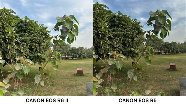 Canon EOS R6 Mark II Vs Canon EOS R5 Camera Test Comparison смотреть онлайн