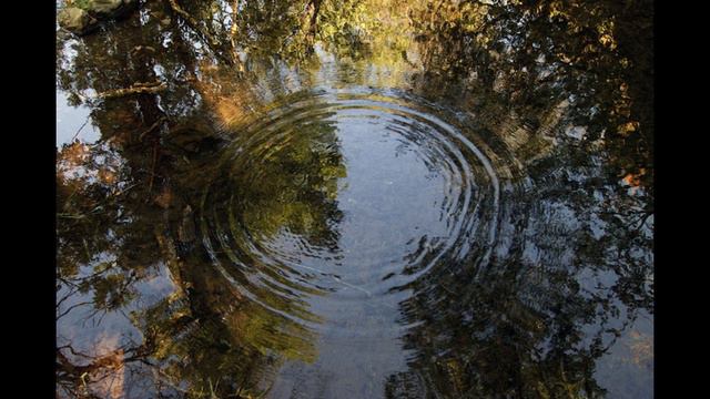 Хи Фи - Адыл Камалов (на дунганском)