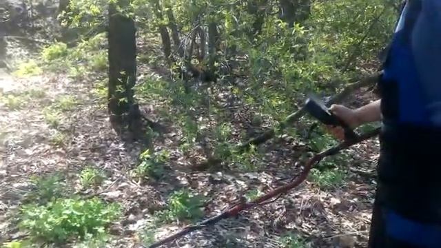 X-terra 305 смотреть онлайн