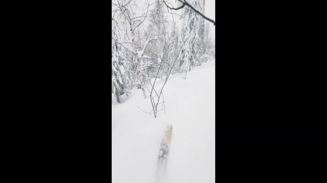 Выпало очень много снега, по словам местных, это крупнейший снегопад с 2019 года в #шерегеш 2023 смотреть онлайн