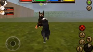 Ultimate Cat Simulator Episode 9: Doberman Boss Fight