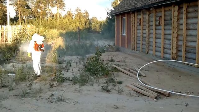 Обработка дач от кровососущих насекомых