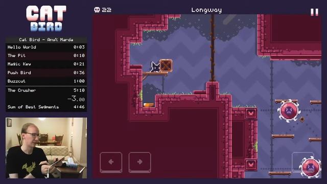 Cat Bird Any% Speedrun Tutorial - Longway (Part 1) смотреть онлайн