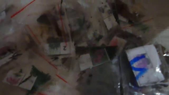 СЕМЕНА ЦВЕТОВ,  ДЕЛЮСЬ ОПЫТОМ,