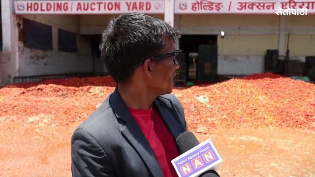 मूल्य नपाएपछि कालीमाटीको सडकमा फालियो गोलभेँडा | Kalimati | Tomato | Agriculture смотреть онлайн