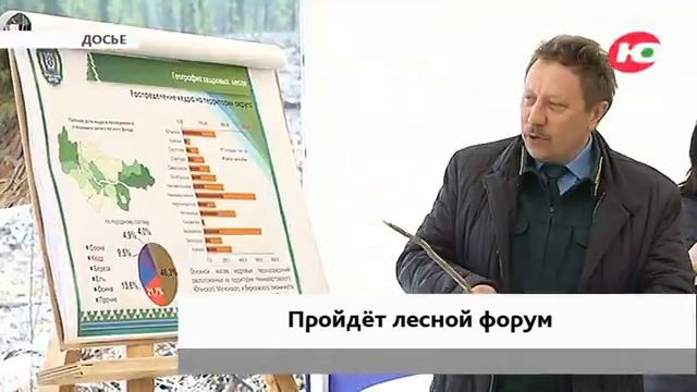 Лесоводы Югры покажут результаты работы на выставке «Годичное кольцо» смотреть онлайн