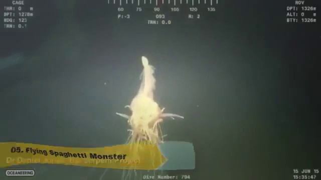 10 лучших загадочные глубоководные животные, пойманные на камеру смотреть онлайн