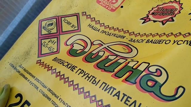 Посев гацании и проверка торфа Двина. смотреть онлайн