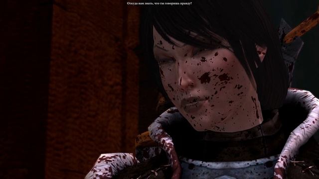 Dragon Age 2 : Роман Фенрис (Полная версия) смотреть онлайн