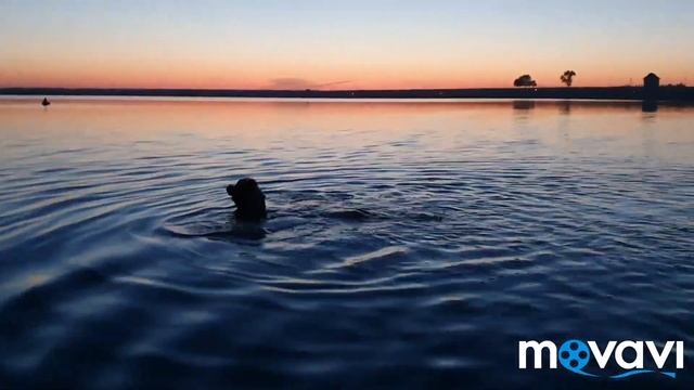 Ночь..луна..и Я. смотреть онлайн