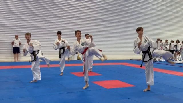 Командный туль Хваранг в тхэквондо ИТФ