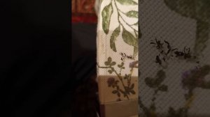 Замена корпуса ключа на KIA CEED 2013