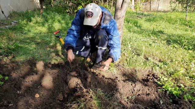 16 В земле синий сапфир (3).mp4 смотреть онлайн