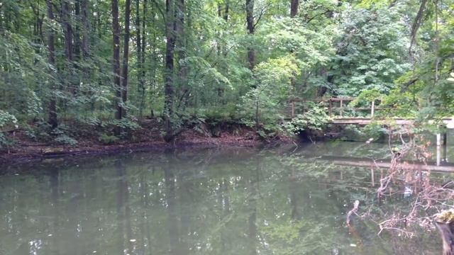 Балашиха. Усадьба Горенки смотреть онлайн