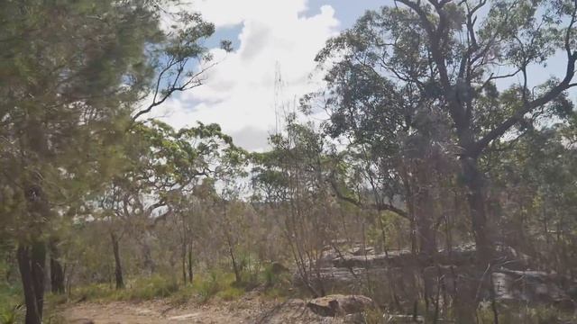 58. Продление регистрации машины в Австралии. Битые машины смотреть онлайн