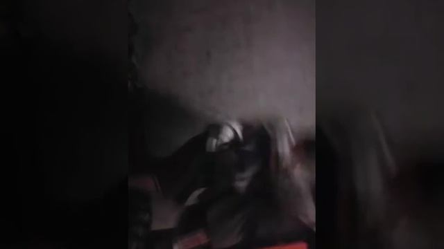 Pelea con gaston y leo quien ganara ??? смотреть онлайн