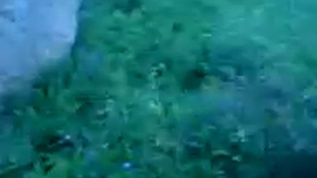 Тост смотреть онлайн