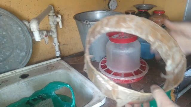 Корм для индоутят от "0" до 20 дней!!! смотреть онлайн