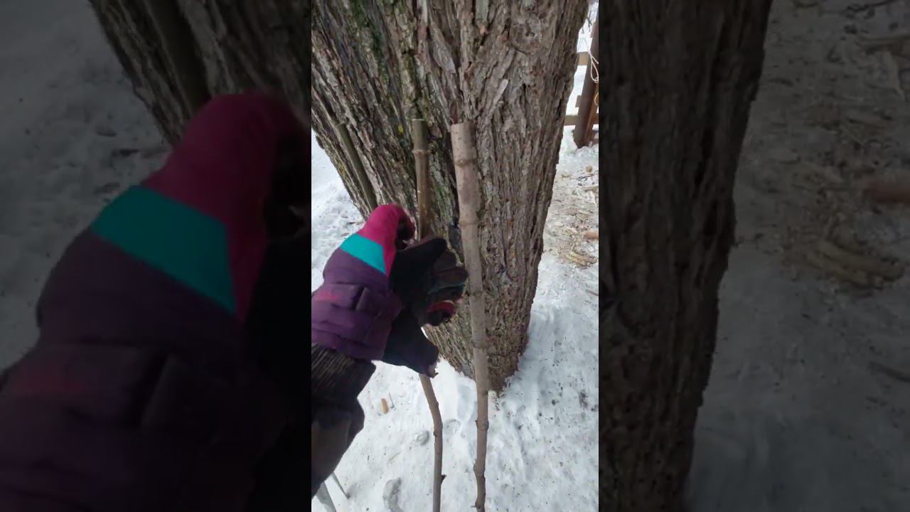 скрафтил горные лыжи! #shorts