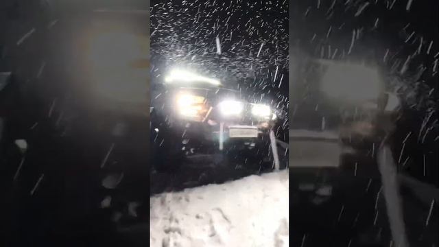 Эрик Давидович, касатки, Баренцево море #териберка смотреть онлайн