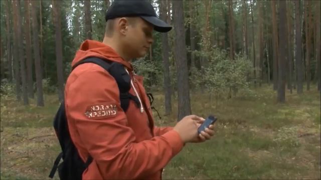 Если заблудился в лесу смотреть онлайн