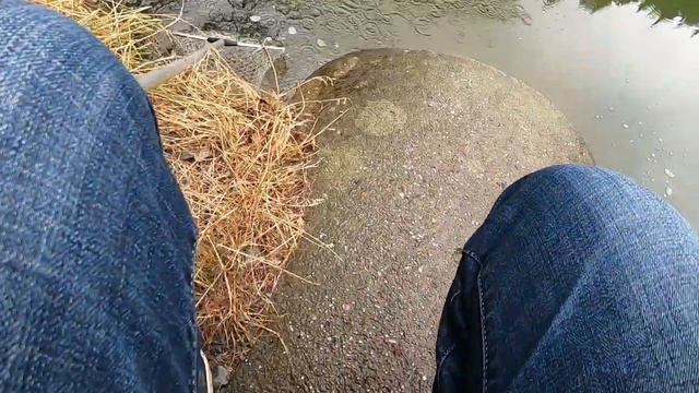 И СНОВА НА Форель.Vierbuchermülle. Trout Area. смотреть онлайн