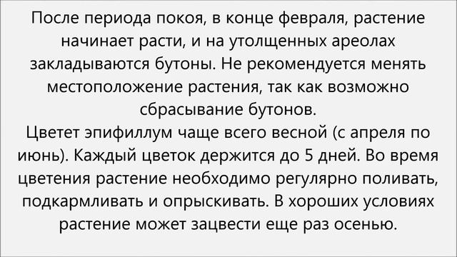 Эпифиллум уход смотреть онлайн