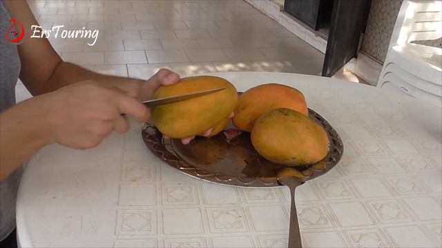 Yüksek Gelirli TROPİKAL MANGO Meyvesi NEREDE ve NASIL Yetişir? смотреть онлайн