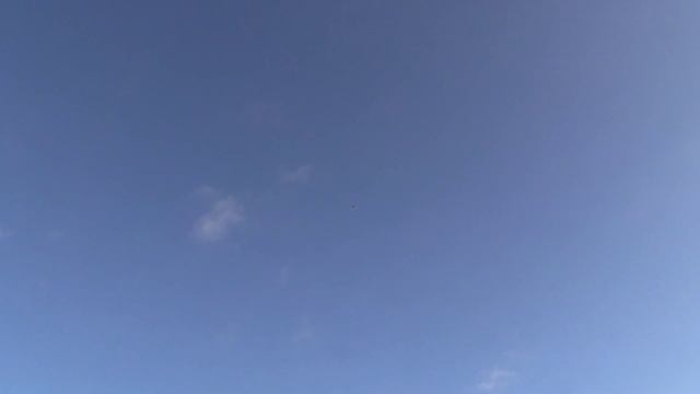 СВГ , дневник тренировок за 24-25.12.2014 г смотреть онлайн