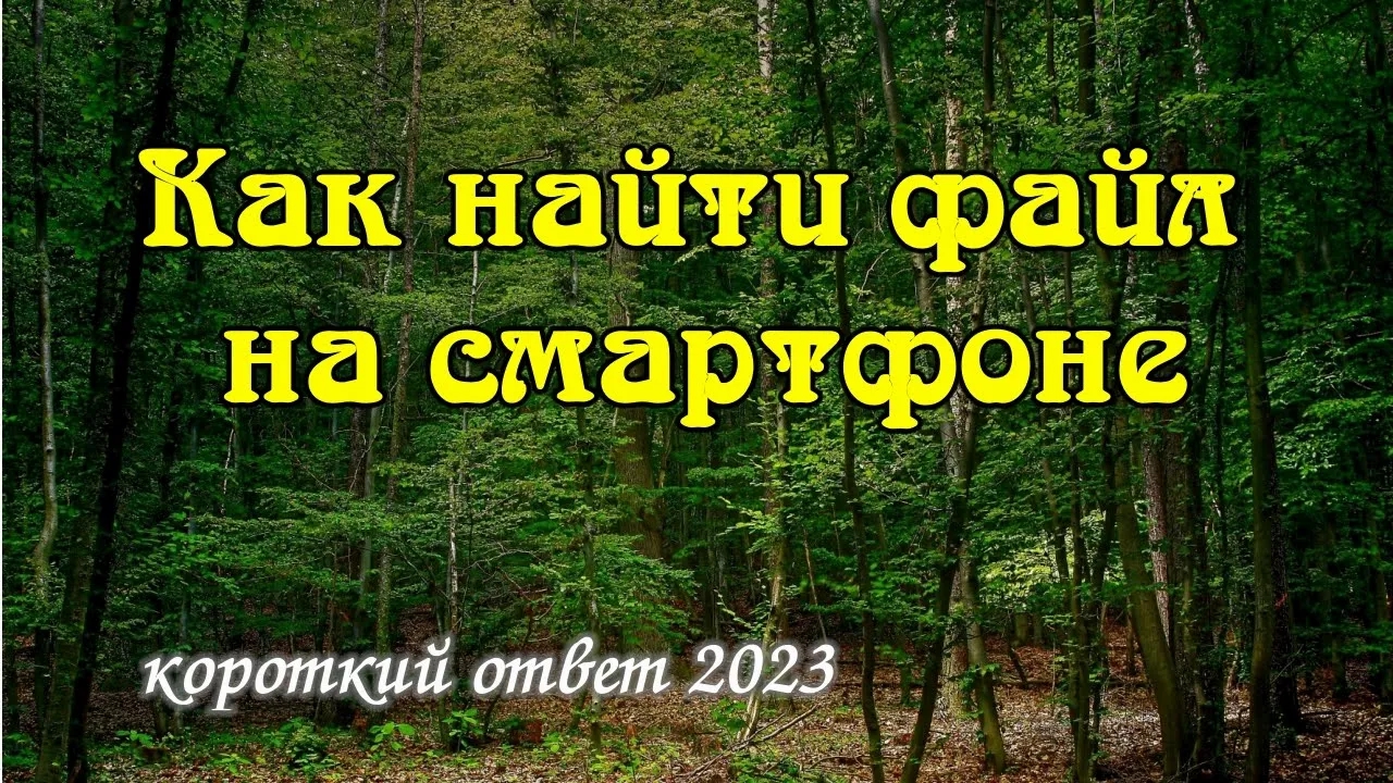 Поиск файла на смартфоне смотреть онлайн