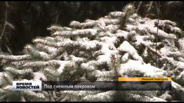 Рекордное количество осадков прогнозируют в Нижнем Новгороде смотреть онлайн
