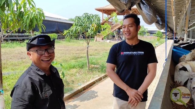Petani Pemula : Kerjasama Himmatana Sukses, Meningkatkan Bobot Domba Dengan Himmatana Farm