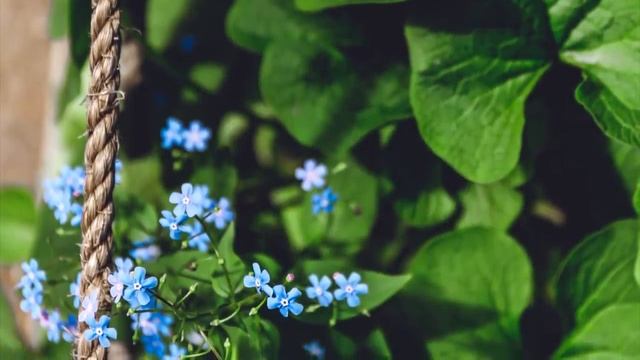 Маленький мальчик выбежал на улицу прося о помощи. А когда мужчина зашел в дом…